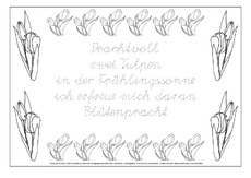 Tulpe-Elfchen-2-SAS.pdf